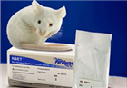 NSET小鼠非手术胚胎移植工具(Nonsurgical embryo transfer device for mice)